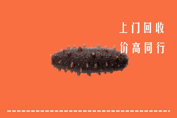 高价求购：白城市洮南回收海参