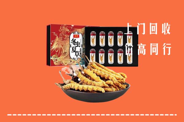 白城市洮南回收虫草